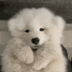 ��Ц�����:����һ��ͺò���w2.jpg