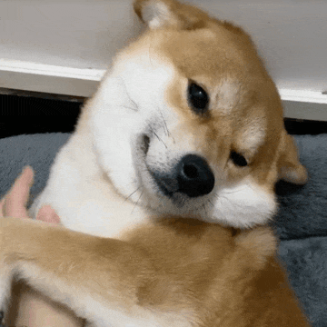 ��Ц�����:����һ��ͺò���w31.jpg