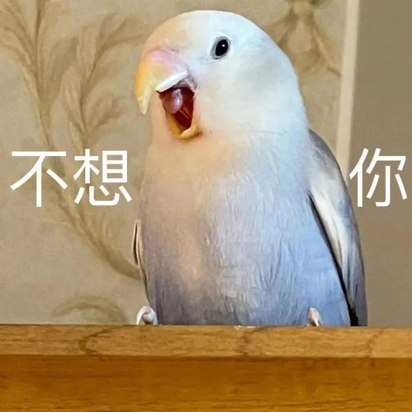 ��Ц�����|���㷢�w7.jpg