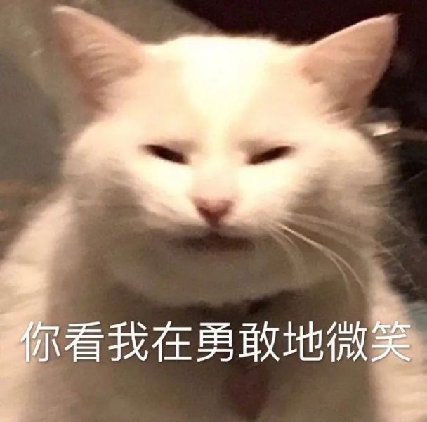 ��Ц�����|���㷢�w5.jpg