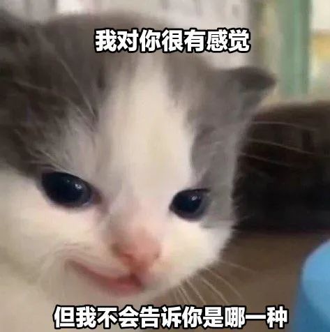 ��Ц�����|���㷢�w19.jpg