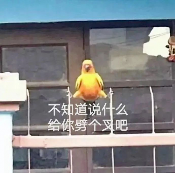��ЦŮ�������������:��Ը���~~w29.jpg