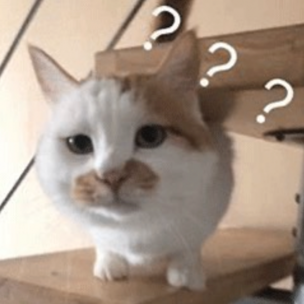 ��Ц�����ح��ְ����w11.jpg