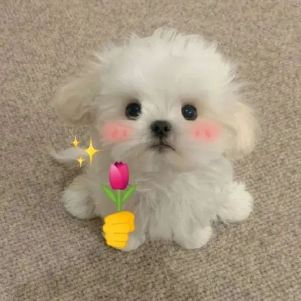��Ц�����ح��ְ����w15.jpg