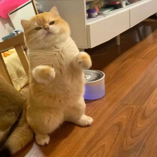 ��Ц�����ح��ְ����w47.jpg