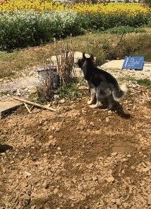 ��ЦͼƬ:����������ԭ������ס�Ĳ��ǳǱ�w4.jpg