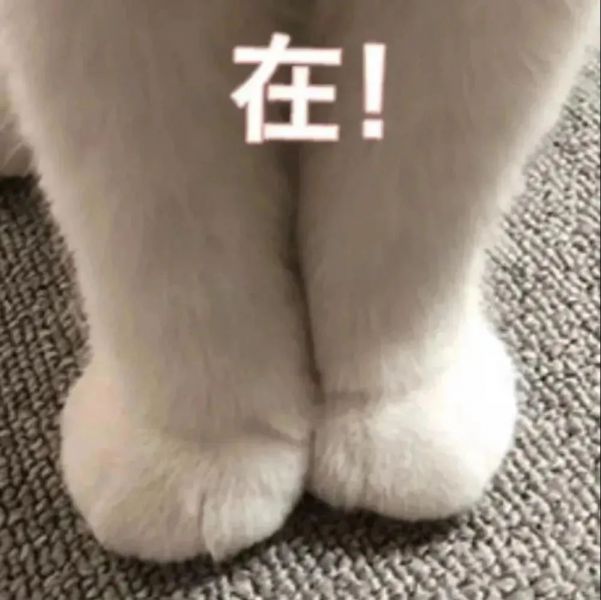 ��Ц�����:���ô���ɡ,ԭ������ͷ��.w3.jpg