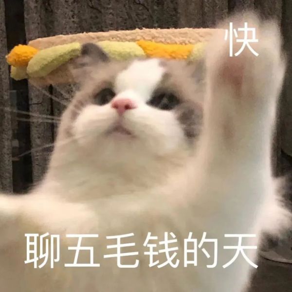 ��Ц�����:���ô���ɡ,ԭ������ͷ��.w6.jpg