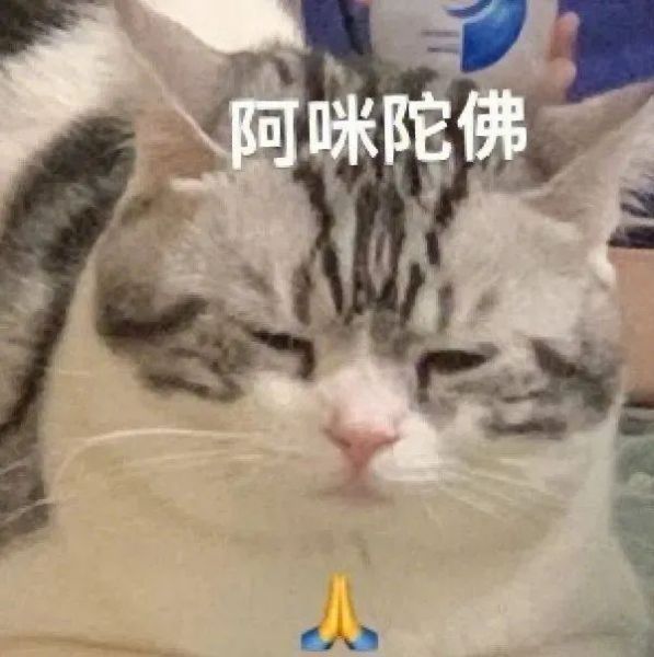 ��Ц�����|����ͨ��w15.jpg