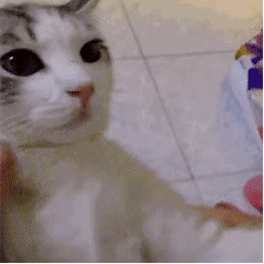 ��Ц�����|����ͨ��w33.jpg