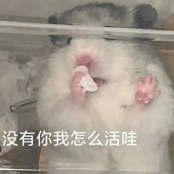 ��Ц�����|����ͨ��w35.jpg