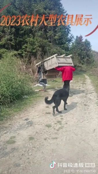 ��Ц:2023���»�ũ��չʾ,��ͨ����ô˵?(��Ƶ)w2.jpg