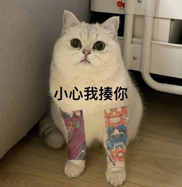 ��Ц�����:������~w1.jpg