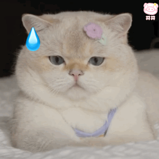 ��ЦŮ�ر��������̬:��������~~w40.jpg