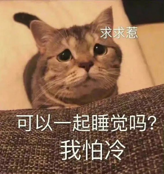 ��Цʵ��ϵ�б����w19.jpg