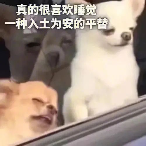 ��Цʵ��ϵ�б����w16.jpg