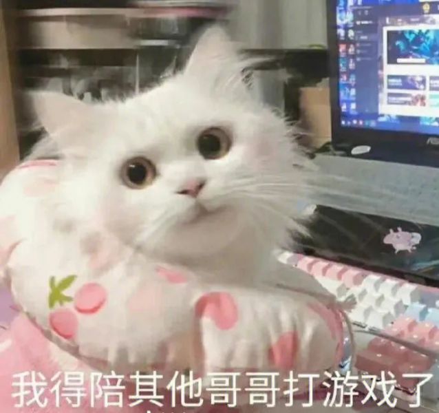 ��Цʵ��ϵ�б����w23.jpg