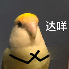 ��ЦŮ�ر��������̬:������~~~w9.jpg