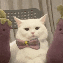 ��ЦŮ�ر��������̬:������~~~w16.jpg