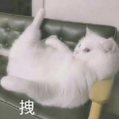 ��ЦŮ�ر��������̬:������~~~w54.jpg