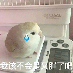 ��ЦŮ�ر��������̬:������~~~w59.jpg