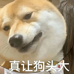 ��ЦŮ�ر��������̬:������~~~w61.jpg