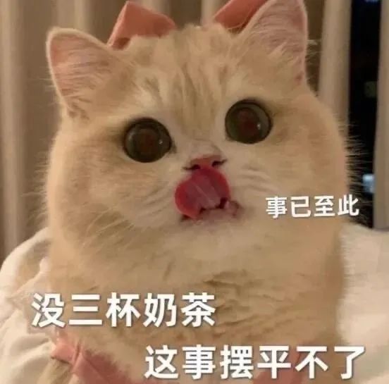 ��Ц�����|��Ц��ר��!!!w11.jpg