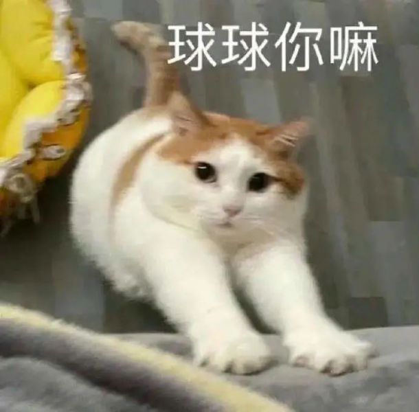 ��Ц�����|��Ц��ר��!!!w14.jpg