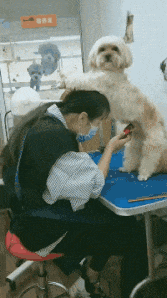 ��Ц:��������ô����,����������,�е㲻��!w9.jpg