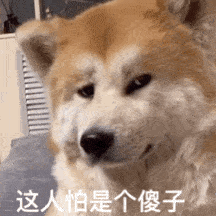 ��Ц�����:�б�����w36.jpg
