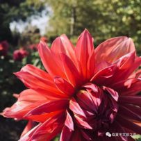 ���ġ��Ĵ���Ů����������,����һ�÷���