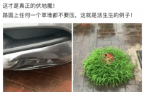 �������ݶѲ�Ҫѹ�������Ǹ�����ħ���������������ˣ������� ...