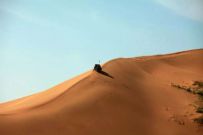 ����17���Լ��ߣ�ûȥ��һ�붼���ܽ���˾��
