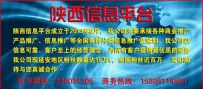 ������Ů���ֻ�,ţ��!