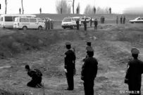 ���Ӽ�Ʊ������Ȣ���㣬���ϸ����ֶθ��ߣ�1995���Ϻ� ...
