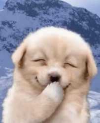 Ц�����Ӽ�����Ц�����ӣ����ڸ���ҽ����������еĹ��� ...