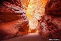 �й���ţ����������أ��ȱ���+���+�Ϻ�+���ϻ�Ҫ�� ...