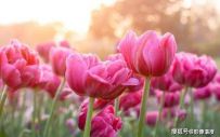 ̫ʹ�ģ�2�����������ֲ���ȥ����һλ����44�꣬һλȥ�� ...