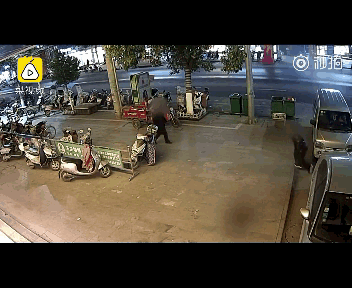 �����ޡ����ء�����Ů��ʿ������!�����ձ����»��硢���ӡ�����...