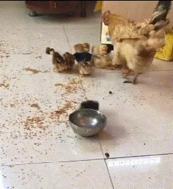 ��һǧ���������˸���Ů�������ôѡ�����ǰ˸�Ŷ������� ...